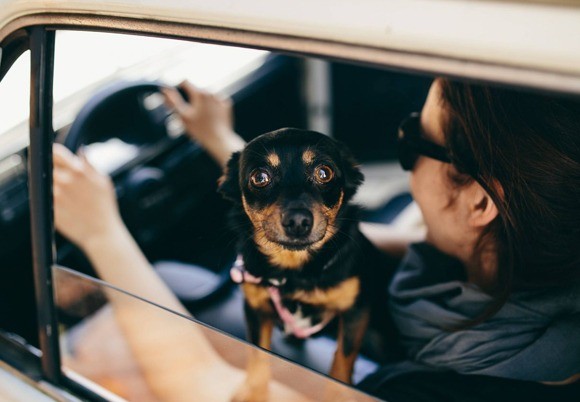 image optimization for high portland oregon seo results